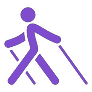 Icon Nordic Walking